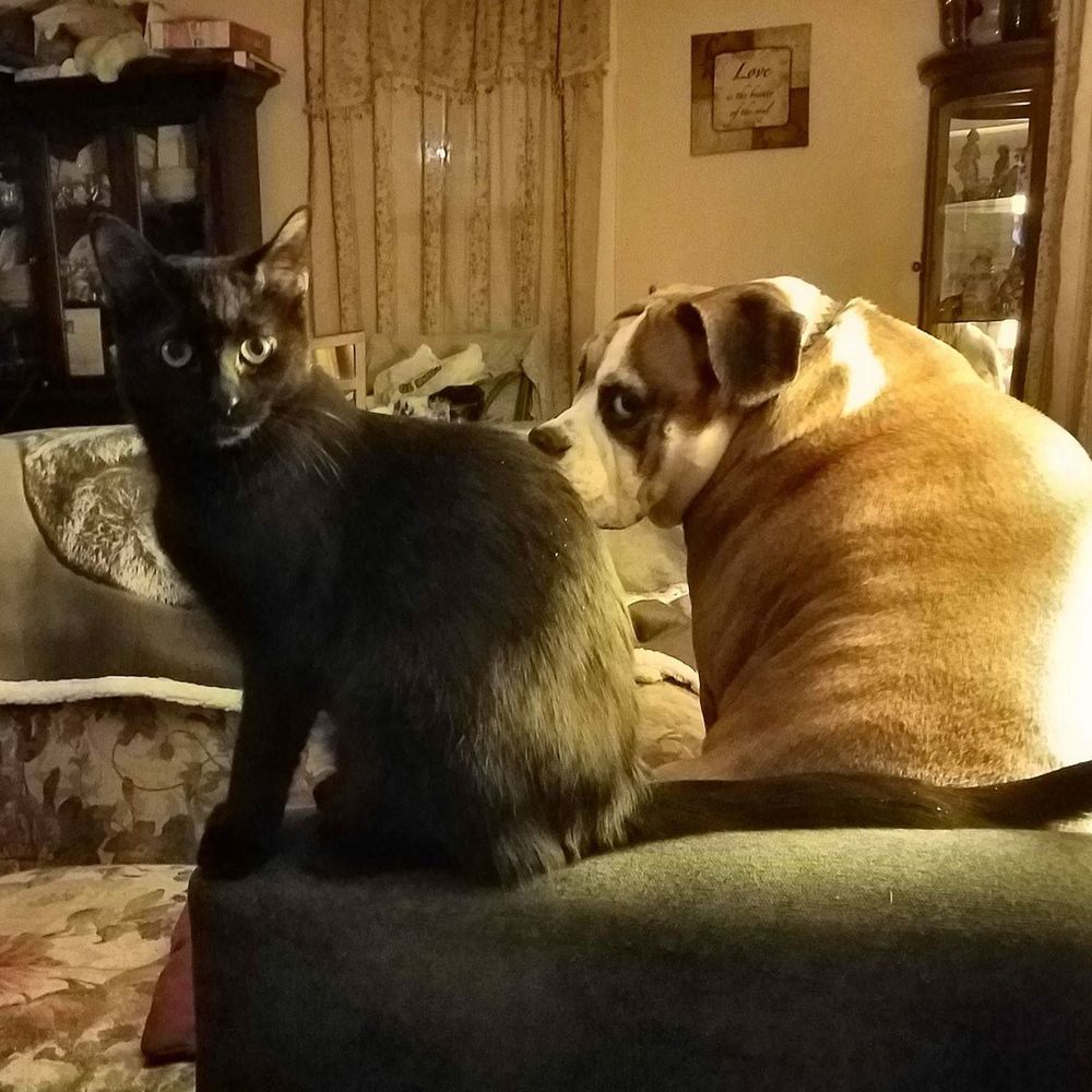 Meet your Posher, Lisa